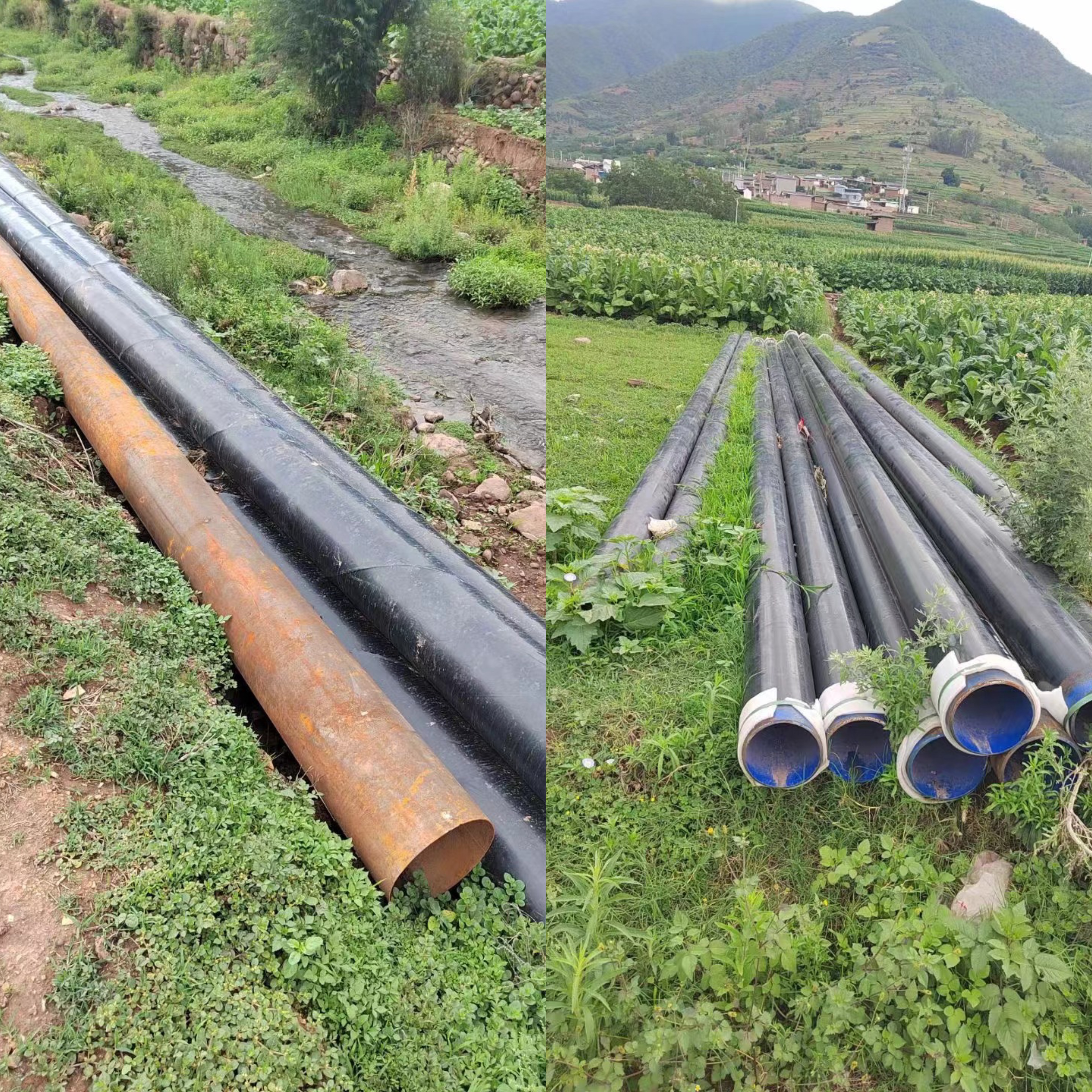 c0fc7b1d552958cf5208fce7ed07429.jpg c0fc7b1d552958cf5208fce7ed07429.jpg